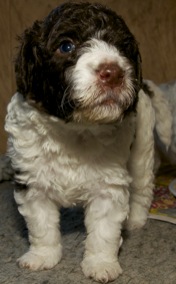 Otitko sä taas kuvan?